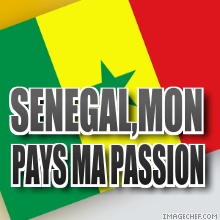 drapeau du senegal